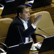 Diputado Soto (PS) pide al Gobierno establecer una “renta de cuarentena”