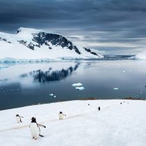 Seis décadas de paz antártica
