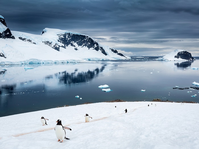 Comisión antártica no logra acuerdo para crear nuevas áreas protegidas Comisión antártica no logra acuerdo para crear nuevas áreas protegidas