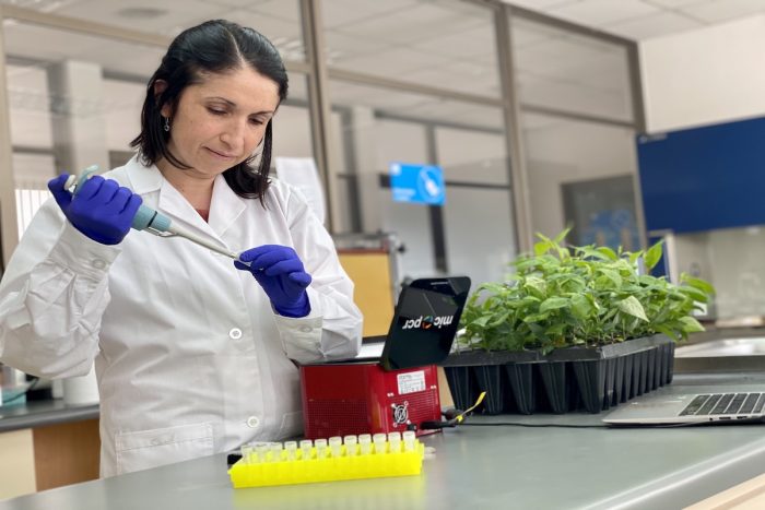 Investigadora chilena desarrolla innovador sistema de PCR para identificación genética de frutales en tiempo récord Investigadora chilena desarrolla innovador sistema de PCR para identificación genética de frutales en tiempo récord