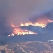 Mega incendio de Curacaví ya se encuentra controlado y afectó cerca de 450 hectáreas