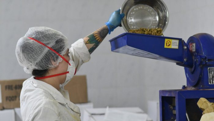 Buscas las mejores iniciativas de innovación agraria lideradas por jóvenes de todo Chile Buscas las mejores iniciativas de innovación agraria lideradas por jóvenes de todo Chile