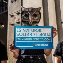Encuesta revela que 96% de la población cree que los constituyentes deben ser claros y explícitos respecto al Medio Ambiente
