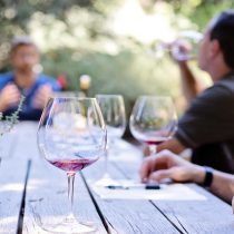 Todavía queda verano y siempre se puede disfrutar del vino en esta temporada