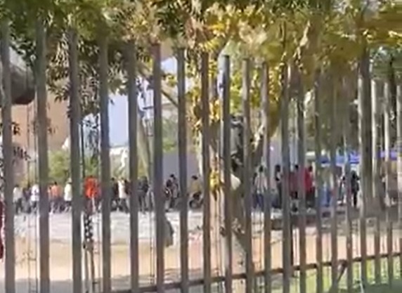 Sin mascarillas ni distanciamiento: Carabineros detiene a 17 personas por fiesta en el anfiteatro del Parque Bustamante Sin mascarillas ni distanciamiento: Carabineros detiene a 17 personas por fiesta en el anfiteatro del Parque Bustamante