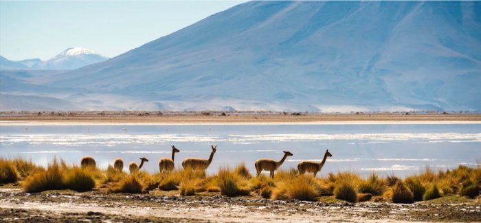 Turismo Verde, el impacto de un cambio sostenible Turismo Verde, el impacto de un cambio sostenible