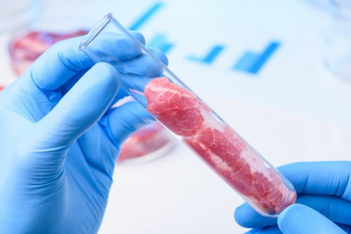 ¿Cuál es el interés nutricional de la carne artificial? ¿Cuál es el interés nutricional de la carne artificial?