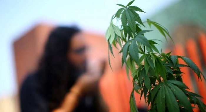 Nueva York legaliza la marihuana para uso recreativo Nueva York legaliza la marihuana para uso recreativo