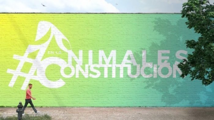 Casi 300 candidatos constituyentes se han adherido a la campaña #AnimalesEnLaConstitución Casi 300 candidatos constituyentes se han adherido a la campaña #AnimalesEnLaConstitución