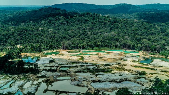 Deforestación que no cesa ni en pandemia: creció un 12 % en 2020 Deforestación que no cesa ni en pandemia: creció un 12 % en 2020