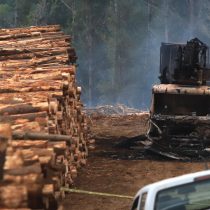 Ataque incendiario en Toltén deja al menos ocho maquinarias de forestal Mininco quemadas al interior de fundo
