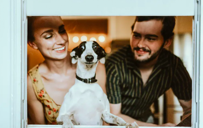 Perros que hablan, ¿en serio? Perros que hablan, ¿en serio?