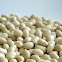 Jóvenes chilenos apuestan por la creación de cereales a base de legumbres para niñas y niños