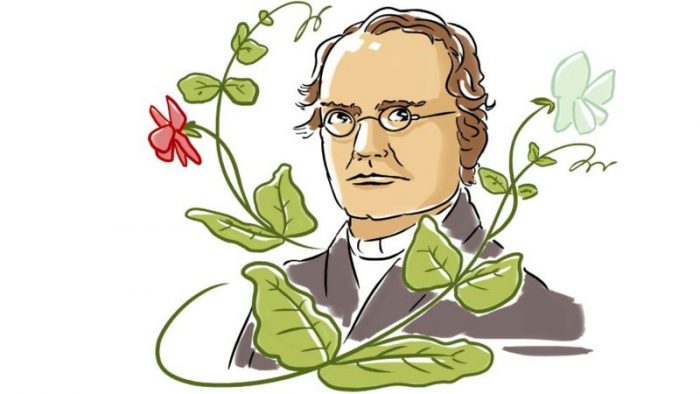 Gregor Mendel: cómo un monje con un jardín de arvejas descubrió las leyes de la herencia genética