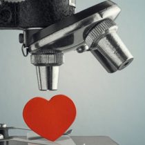 Cómo tu ADN influye en tus decisiones sobre el amor