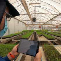 Región de Arica y Parinacota avanza hacia una agricultura más sustentable y tecnológica