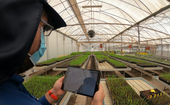 Región de Arica y Parinacota avanza hacia una agricultura más sustentable y tecnológica