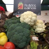 Lanzan aplicación para comprar frutas y verduras de ferias libres a domicilio