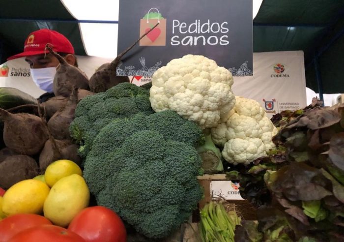 Lanzan aplicación para comprar frutas y verduras de ferias libres a domicilio Lanzan aplicación para comprar frutas y verduras de ferias libres a domicilio