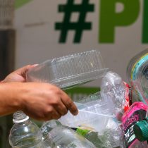 Dime con quién reciclas y te diré de dónde eres
