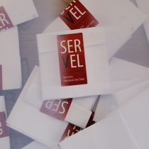 Vuelco electoral: candidata independiente llegaría a la alcaldía de Sierra Gorda tras error detectado en mesa de votación