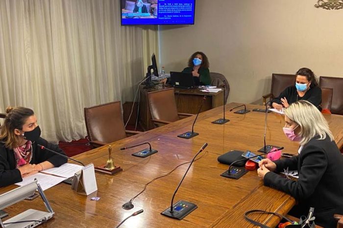 Comisión de Mujeres oficiará al Minsal por denuncias de acoso laboral