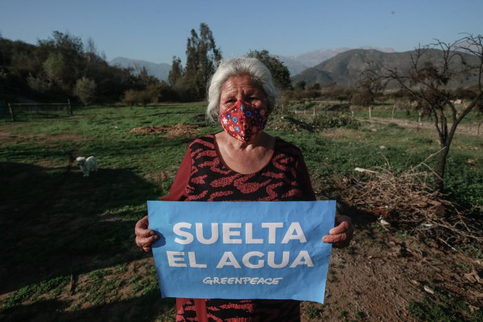 Greenpeace en el Día del Medioambiente: «Hoy los avances ambientales son alcanzados gracias a la presión ciudadana» Greenpeace en el Día del Medioambiente: