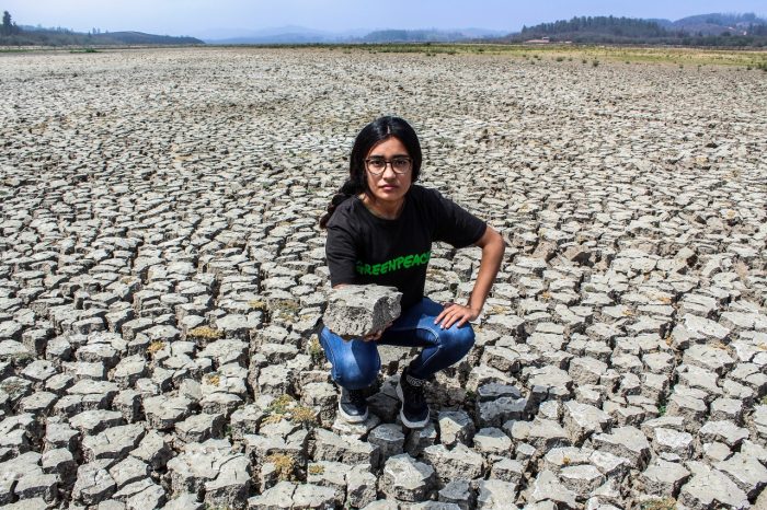 Greenpeace advierte en el Día Mundial de Lucha contra la Desertificación y la Sequía: 