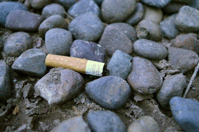 Avanza norma que regula los materiales de los cigarros y la prohibición de fumar o desechar colillas en zonas como playas, ríos y lagos