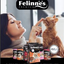 Felinnes da a conocer innovadora línea de alimentos para gatos certificada y con exquisitas croquetas rellenas