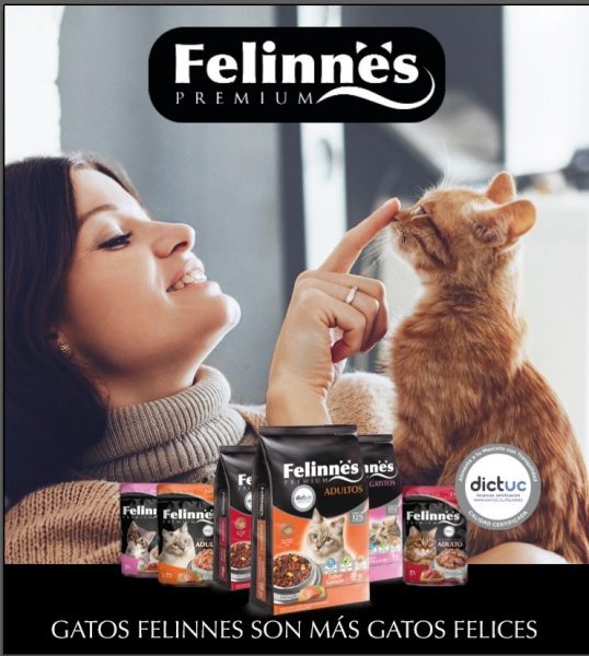 Felinnes da a conocer innovadora línea de alimentos para gatos certificada y con exquisitas croquetas rellenas Felinnes da a conocer innovadora línea de alimentos para gatos certificada y con exquisitas croquetas rellenas