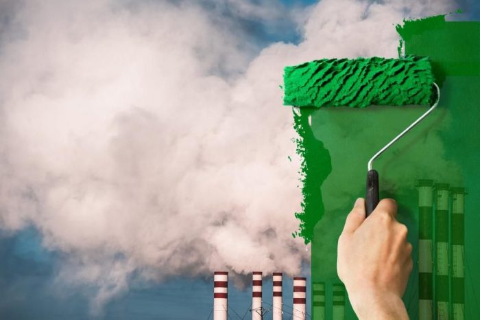 Greenwashing: ¿Qué es y cómo funciona en el mercado? Greenwashing: ¿Qué es y cómo funciona en el mercado?