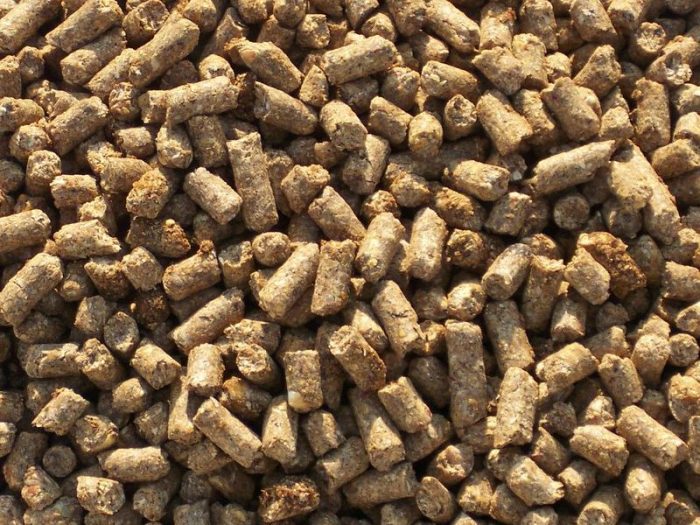 Admiten querella por uso no autorizado de alimento para perros en aves de postura Admiten querella por uso no autorizado de alimento para perros en aves de postura