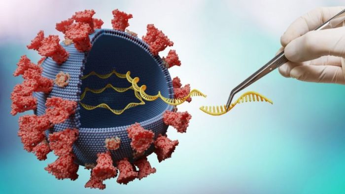 Delta: las 5 mutaciones que hacen a esta variante del coronavirus más contagiosa y preocupante Delta: las 5 mutaciones que hacen a esta variante del coronavirus más contagiosa y preocupante