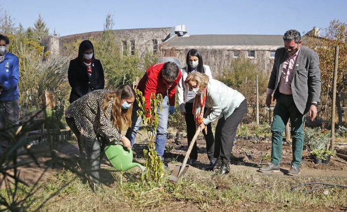 Presentan campaña para promover consumo de frutas y verduras “se pasó pa’ buena idea” Presentan campaña para promover consumo de frutas y verduras “se pasó pa’ buena idea”