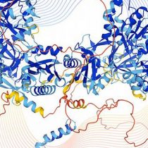 Inteligencia artificial predice la forma de las proteínas humanas y abre nueva era en la biología