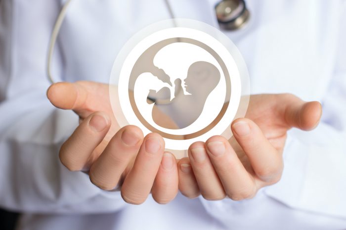 A 42 años de la primera bebé nacida en laboratorio, y cómo miles de padres han cumplido su sueño A 42 años de la primera bebé nacida en laboratorio, y cómo miles de padres han cumplido su sueño