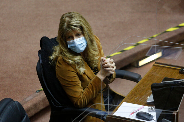 Senadora Rincón sobre presupuesto de la Convención Constitucional: «Probablemente requiera reasignaciones» Senadora Rincón sobre presupuesto de la Convención Constitucional: