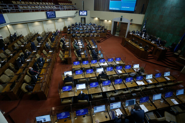Cámara de Diputados declara inadmisible veto del Gobierno a proyecto de Garantías de la Niñez Cámara de Diputados declara inadmisible veto del Gobierno a proyecto de Garantías de la Niñez