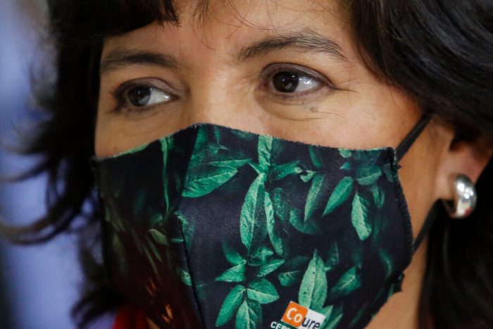 En una de sus primeras actividades como precandidata presidencial Yasna Provoste fue increpada y expulsada de feria en Puente Alto En una de sus primeras actividades como precandidata presidencial Yasna Provoste fue increpada y expulsada de feria en Puente Alto