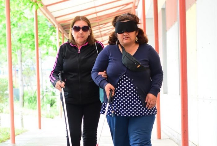 Convención Constitucional: qué esperan las personas con discapacidad Convención Constitucional: qué esperan las personas con discapacidad