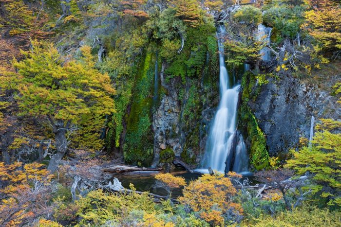 Informe de WWF: Bancos centrales y supervisores del sistema financiero necesitan abordar los riesgos relacionados con la naturaleza Informe de WWF: Bancos centrales y supervisores del sistema financiero necesitan abordar los riesgos relacionados con la naturaleza