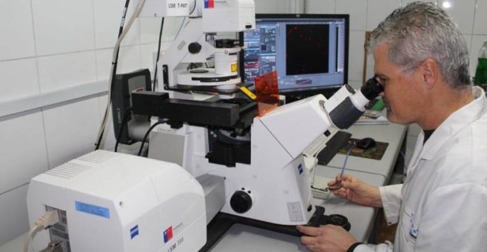 Investigación chilena propone nuevo material para detección y tratamiento contra el Alzheimer con nanopartículas de oro Investigación chilena propone nuevo material para detección y tratamiento contra el Alzheimer con nanopartículas de oro