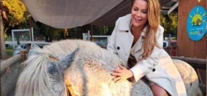 Presidenta del CPLT por caso de donativo a ex alcaldesa de Maipú: “Un regalo de estas características, en principio, debe ser registrado por parte de la autoridad” Presidenta del CPLT por caso de donativo a ex alcaldesa de Maipú: “Un regalo de estas características, en principio, debe ser registrado por parte de la autoridad”