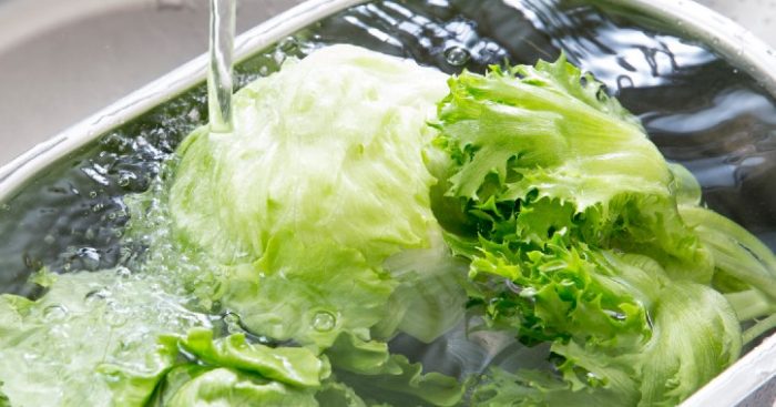 TikTok: qué hay de cierto en la tendencia de beber una infusión de lechuga hervida para dormir TikTok: qué hay de cierto en la tendencia de beber una infusión de lechuga hervida para dormir