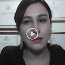 Patricia Labra, constituyente:  