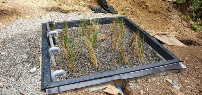 Construir humedales: Una solución basada en la naturaleza para combatir el cambio climático y la crisis hídrica Construir humedales: Una solución basada en la naturaleza para combatir el cambio climático y la crisis hídrica