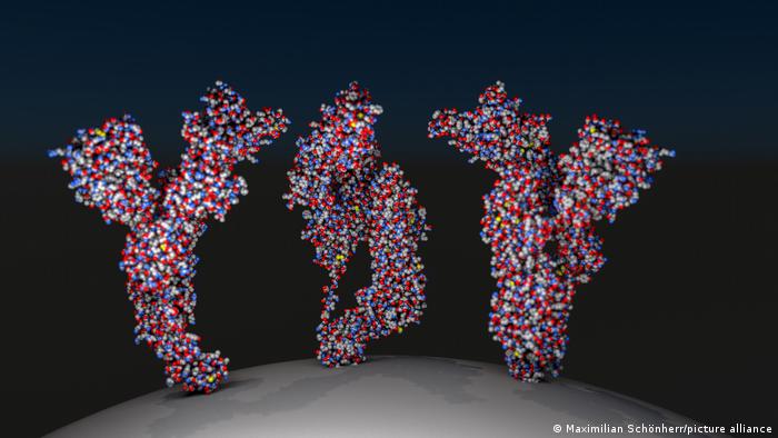 ¿Cuántos anticuerpos son necesarios para ser inmune al coronavirus? ¿Cuántos anticuerpos son necesarios para ser inmune al coronavirus?