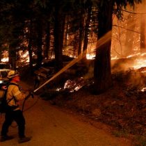 Incendios en California han arrasado con 72 mil hectáreas y se han evacuado más de 22 mil personas
