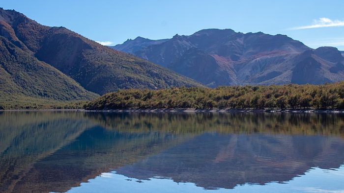 Concurso fotográfico “Plantas de la Patagonia Austral” Concurso fotográfico “Plantas de la Patagonia Austral”
